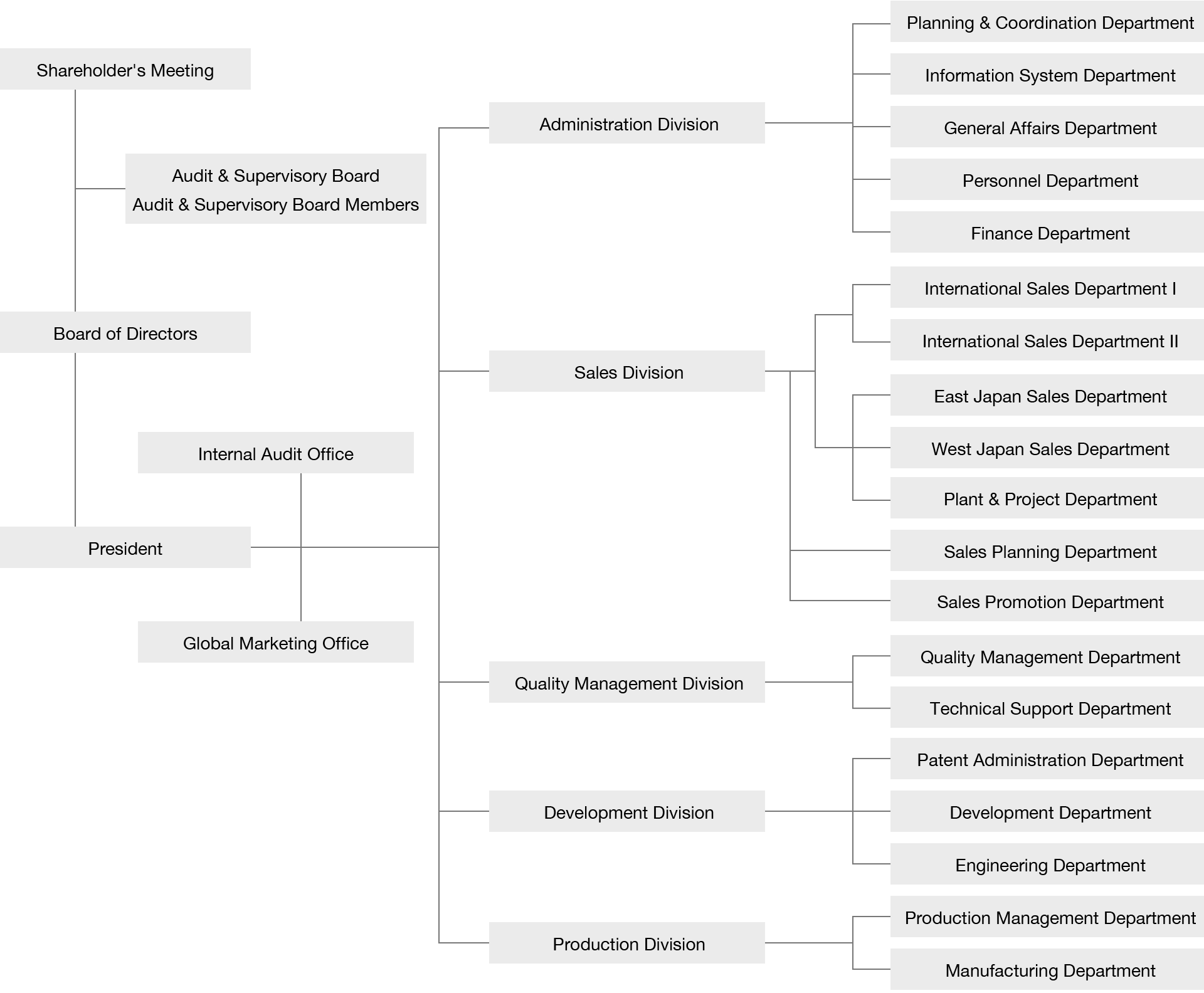 Company Organization