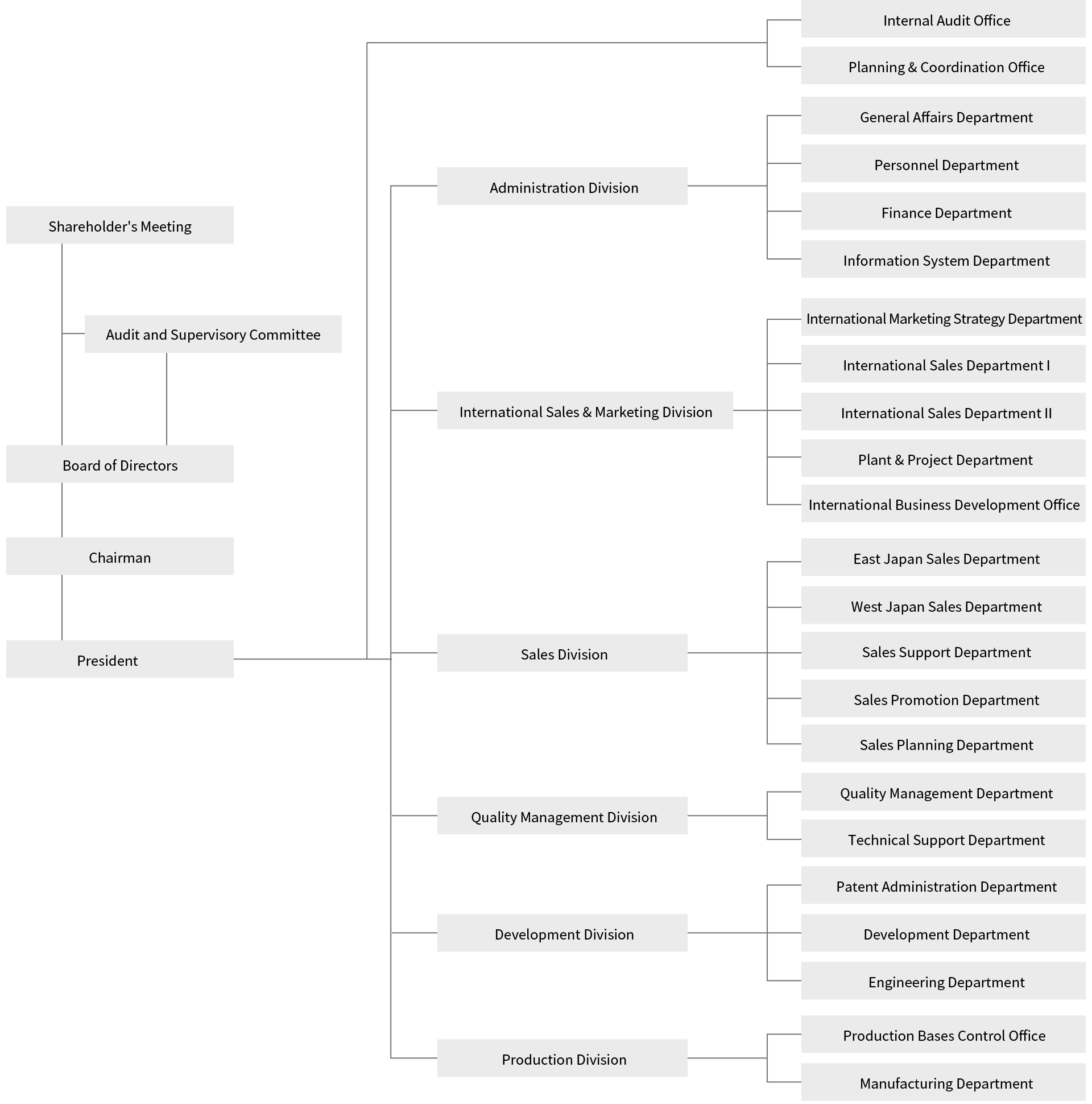 Company Organization